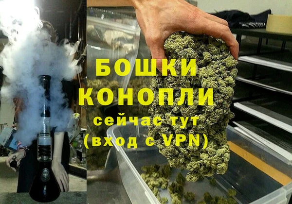 стаф Богданович